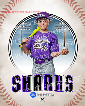 SHARKS 024 of 28