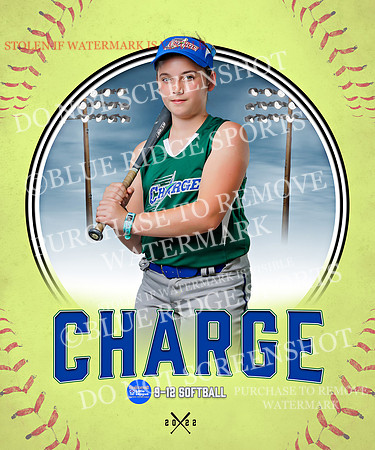 CHARGE 037 of 52