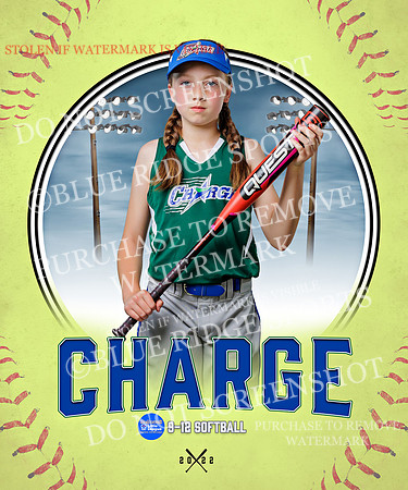 CHARGE 018 of 52