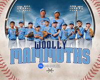 woollymammoths.team