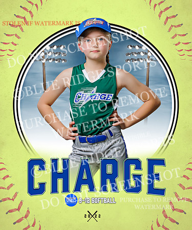 CHARGE 006 of 52