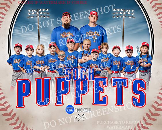 sockpuppets.team