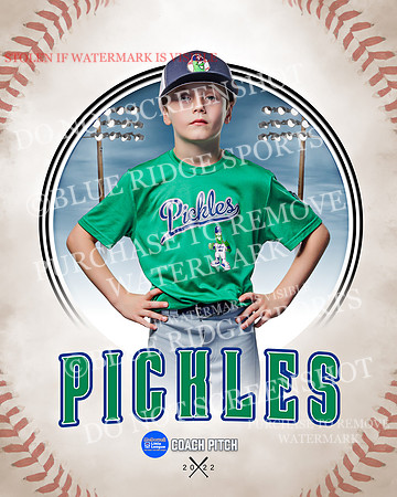 PICKLES 008 of 43