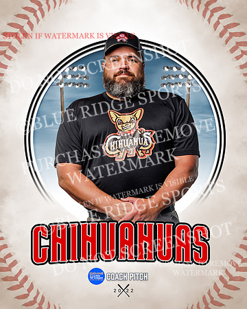 CHIHUAUAS 020 of 33