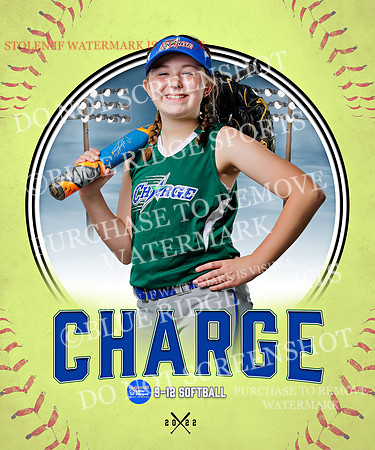 CHARGE 014 of 52