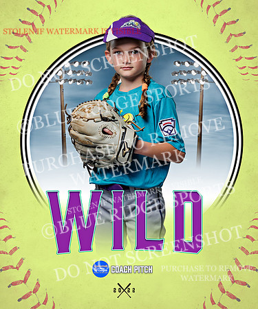 WILD 028 of 43