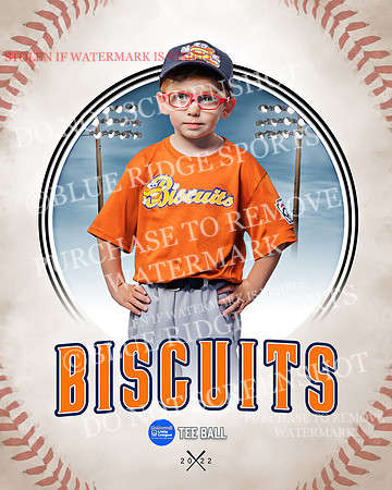 BISCUITS 006 of 45
