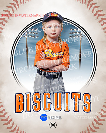 BISCUITS 013 of 45