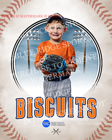 BISCUITS 026 of 45