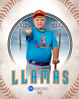 LLAMAS 009 of 42
