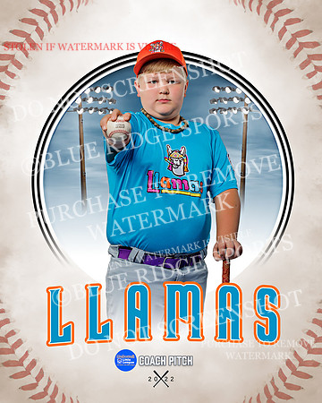 LLAMAS 009 of 42