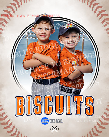 BISCUITS 028 of 45
