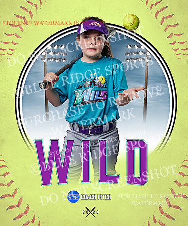 WILD 030 of 43