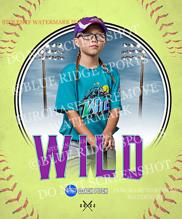 WILD 043 of 43