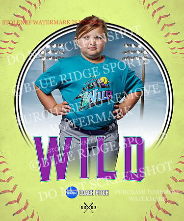 WILD 010 of 43