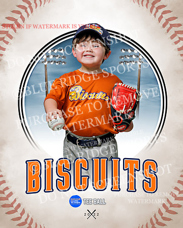 BISCUITS 043 of 45