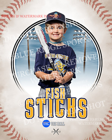 FISH STICKS 037 of 46