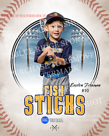 FISH STICKS 012 of 46