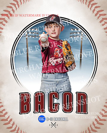 BACON 002 of 33