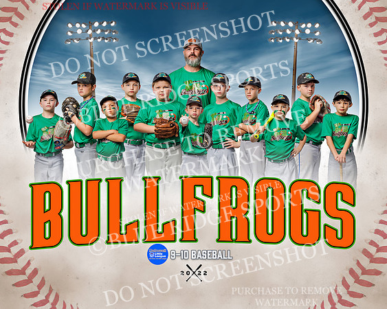 bullfrogs.team