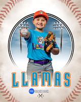 LLAMAS 020 of 42
