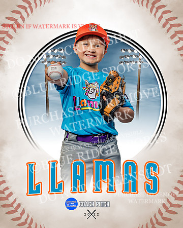 LLAMAS 020 of 42