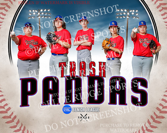 1 trashpandas.team