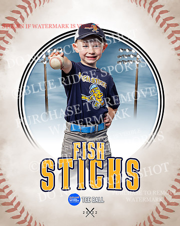 FISH STICKS 006 of 46