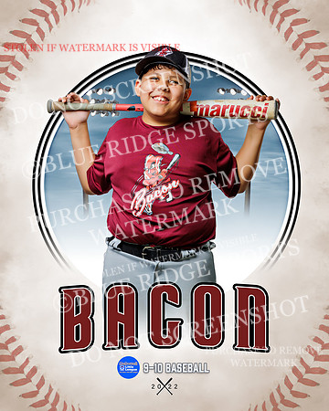 BACON 025 of 33