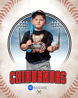 CHIHUAUAS 018 of 33