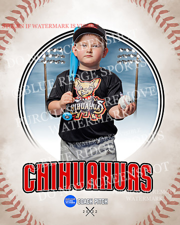 CHIHUAUAS 018 of 33