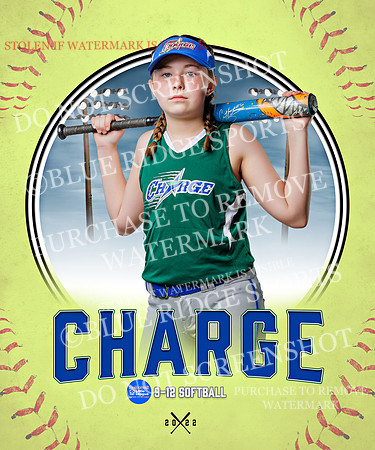 CHARGE 015 of 52