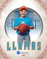 LLAMAS 026 of 42