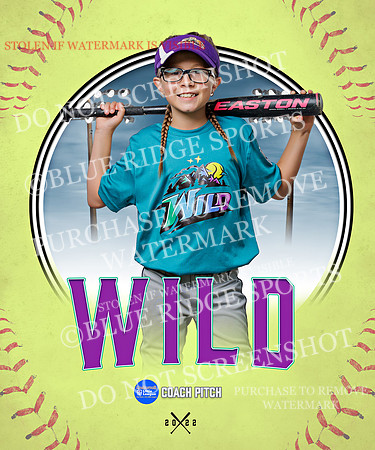 WILD 042 of 43