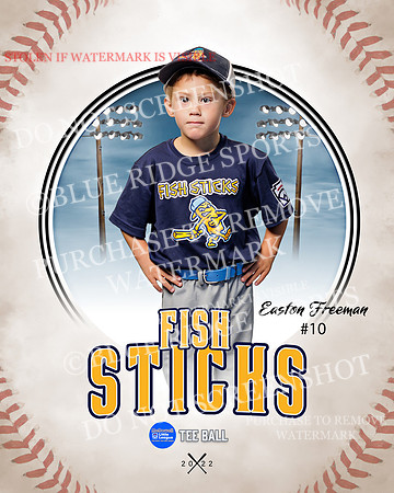 FISH STICKS 011 of 46