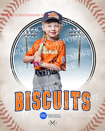 BISCUITS 014 of 45