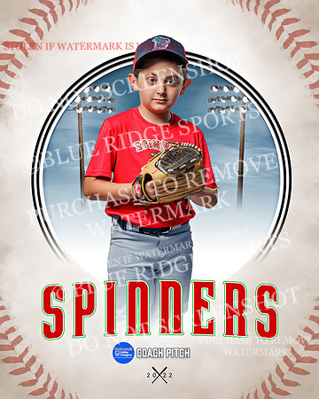 SPINNERS 029 of 40
