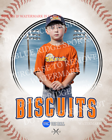 BISCUITS 034 of 45
