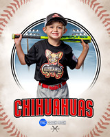 CHIHUAUAS 011 of 33