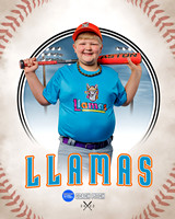LLAMAS 008 of 42