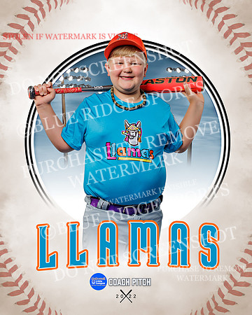 LLAMAS 008 of 42