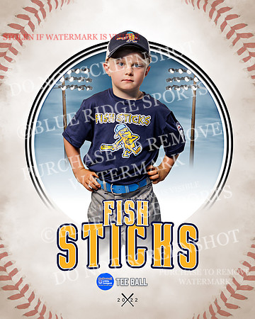 FISH STICKS 020 of 46