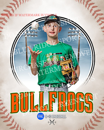 BULLFROGS 020 of 38