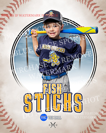 FISH STICKS 029 of 46