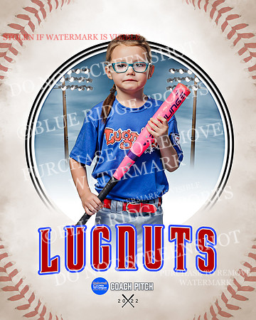 LUGNUTS 003 of 40