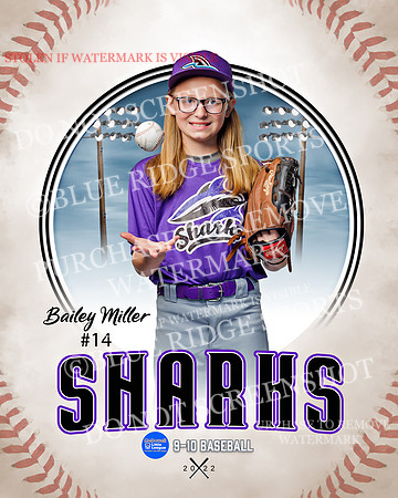 SHARKS 002 of 28