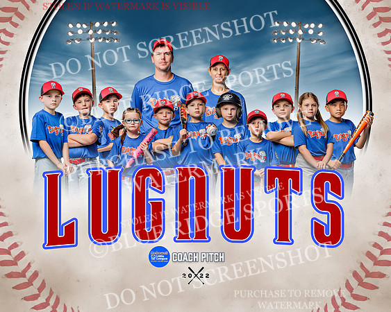 1 lugnuts.team