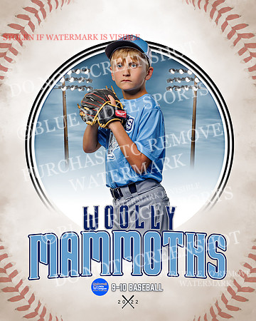 MAMMOTHS 027 of 36