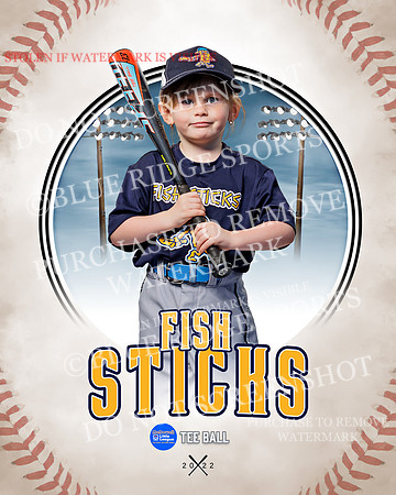 FISH STICKS 008 of 46