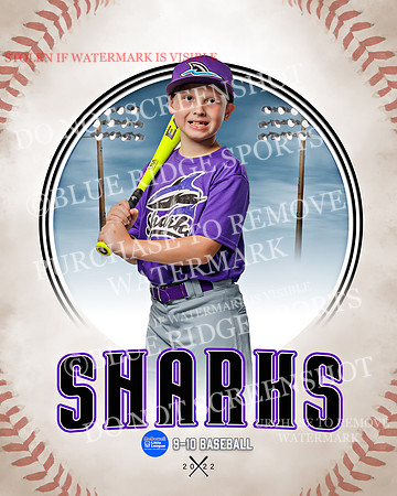 SHARKS 023 of 28